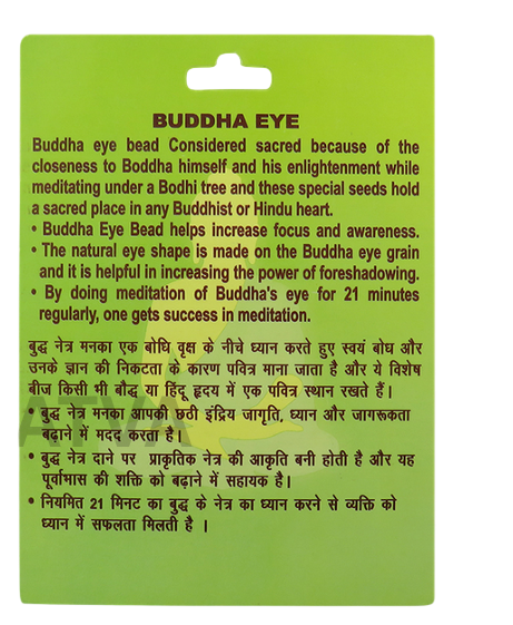 Buddha Eye Rudraksha