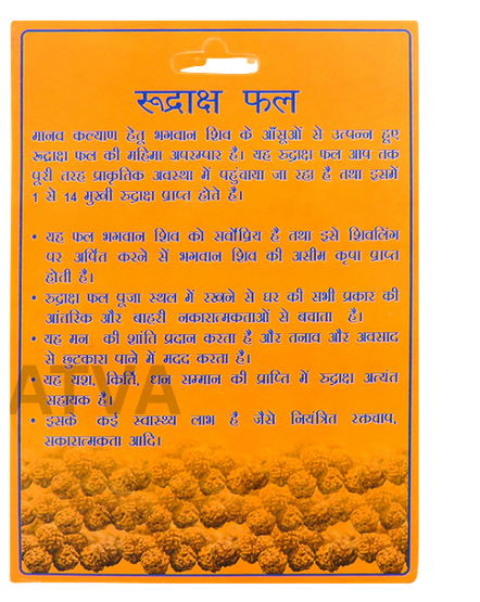 Rudraksha Fal – Shiv Swaroop