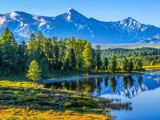 Top 10 Best Perfumes for Women That Turn Heads in Every Room