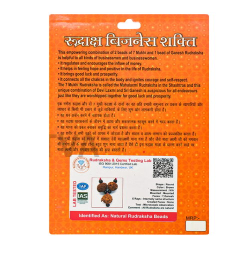 Business Shakti Rudraksha Kavach