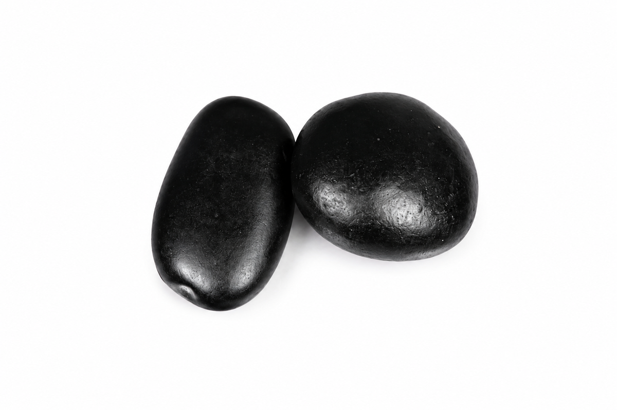 Shaligram Stone