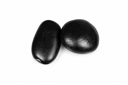 Shaligram Stone