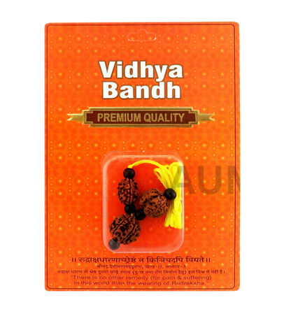 Vidhya Bandh Rudraksha Kavach