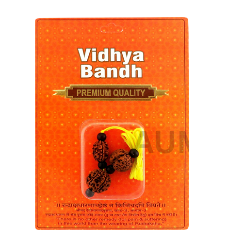Vidhya Bandh Rudraksha Kavach
