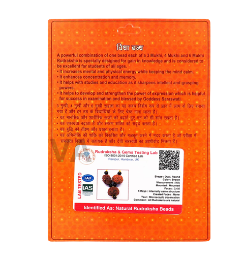 Vidhya Bandh Rudraksha Kavach