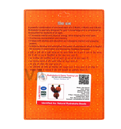 Vidhya Bandh Rudraksha Kavach