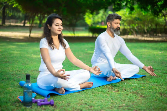 Ashwagandha Root Extract - Stress Relief