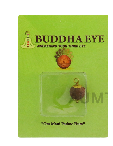 Buddha Eye Rudraksha