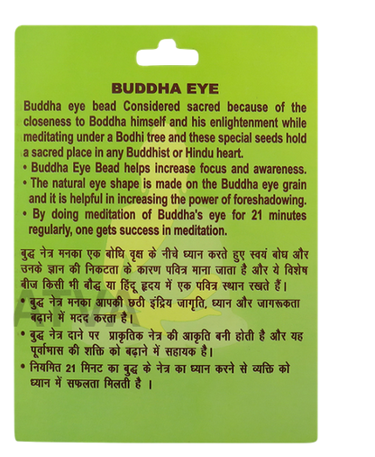 Buddha Eye Rudraksha