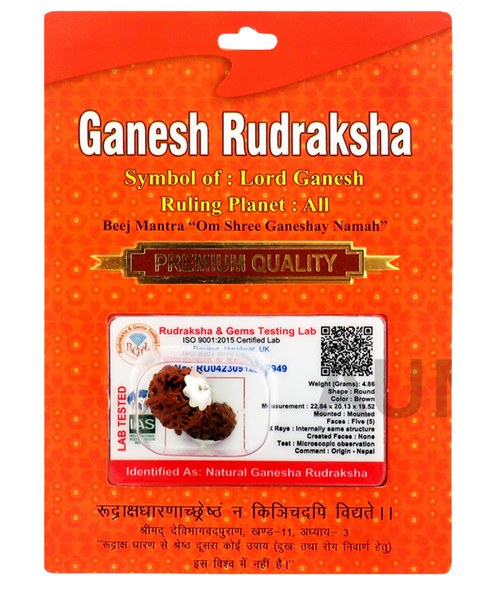 Ganesha Rudraksha