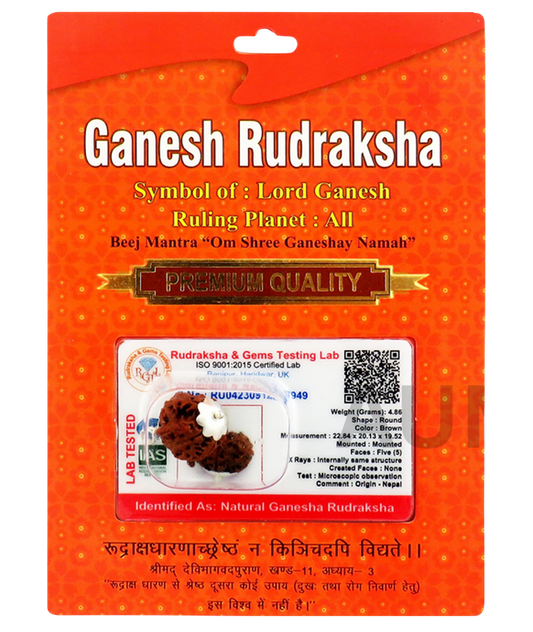 Ganesha Rudraksha