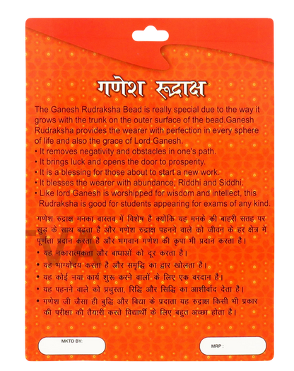 Ganesha Rudraksha