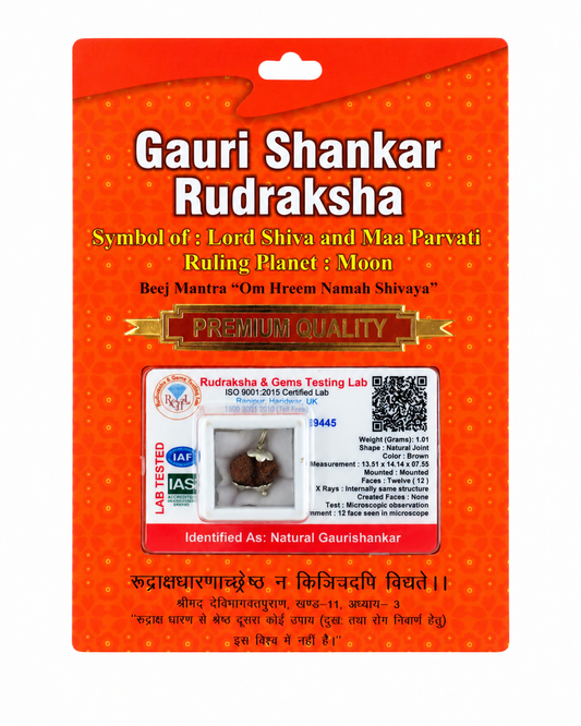 Gaurishankar Rudraksha