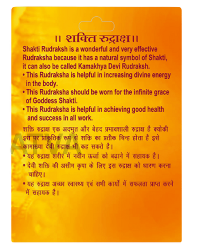 Shakti Rudraksha