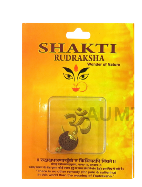 Shakti Rudraksha