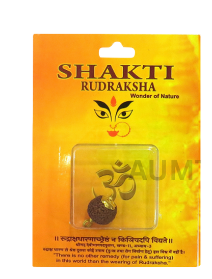 Shakti Rudraksha