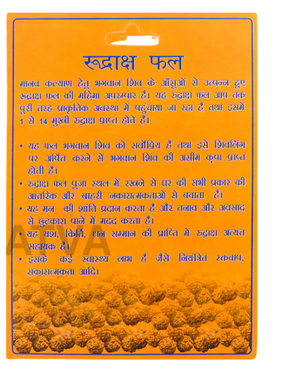 Rudraksha Fal – Shiv Swaroop
