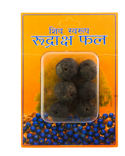 Rudraksha Fal – Shiv Swaroop