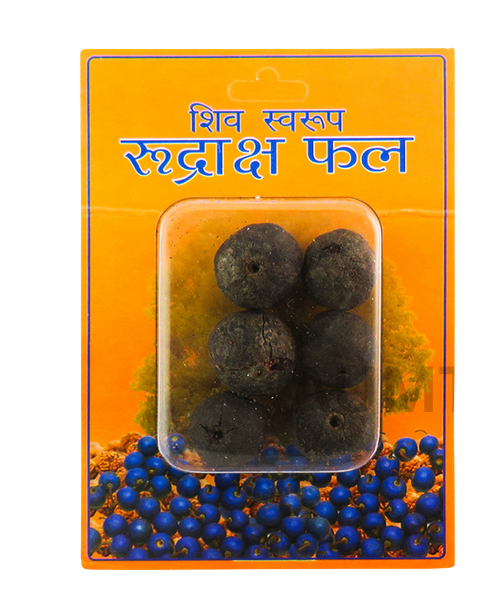 Rudraksha Fal – Shiv Swaroop