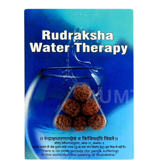Rudraksha Water Therapy