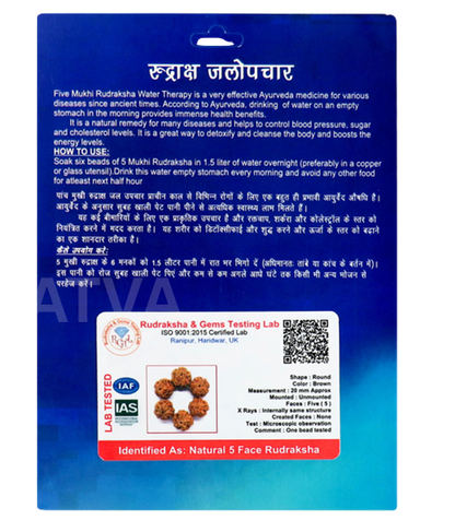 Rudraksha Water Therapy